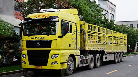 ʥ��ɳʤ�����¡�(�¼���)�ٷ���վ