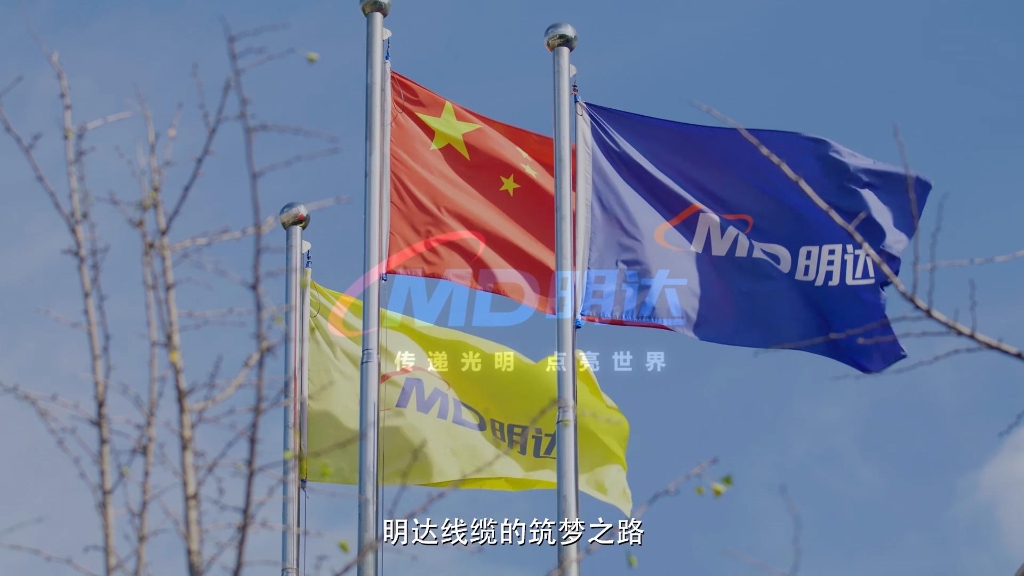 ʥ��ɳ��ʤ��������Ƭ-�ӱ�����̨2020��¼��